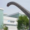 福井県の小採 小論文・個人面接